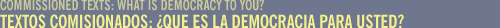 QUE ES LA DEMOCRACIA PARA USTED? / WHAT IS DEMOCRACY TO YOU?